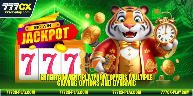 Entertainment platform offers multiple gaming options and dynamic